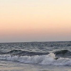 Meet your Posher, Sitka